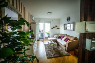 Luxury apartmani kg - Kragujevac - 0