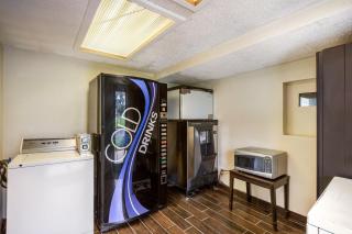 Red Roof Inn Saginaw – Frankenmuth - 1
