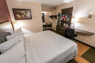 Red Roof Inn PLUS+ St. Louis - Forest Park / Hampton Ave. - 6