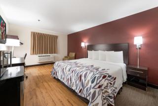 Red Roof Inn Auburn - 7