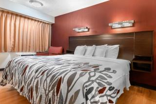 Red Roof Inn Lafayette - Purdue University - 1