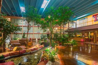 Red Roof Inn Lubbock - Lubbock - 3