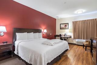 Red Roof Inn PLUS+ Austin South - Austin - 1