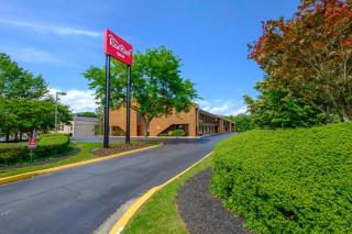 Red Roof Inn Edgewood - Edgewood - 9