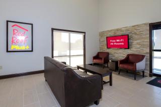 Red Roof Inn PLUS+ Hammond - Hammond - 1