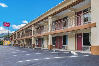 Red Roof Inn Caryville - Caryville - 8