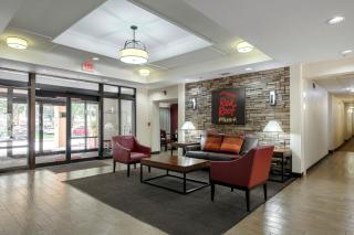 Red Roof Inn PLUS + Gainesville - Gainesville - 2