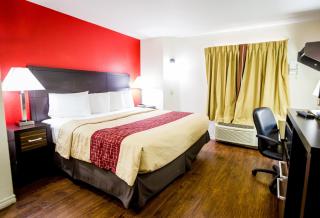 Red Roof Inn Austin - Round Rock - Round Rock - 7