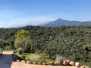 Villa Machja Solenzara - 5