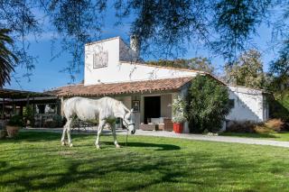 Hotel Mas Des Barres - Saintes-Maries-de-la-Mer - 7