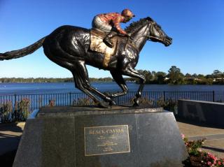 Nagambie Motor Inn and Conference Centre - 3