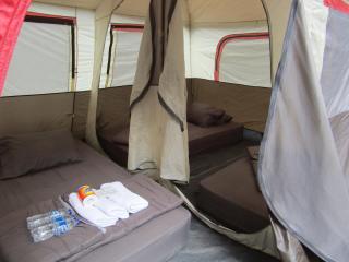 Lawu Forest Camp - 5