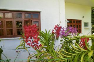 Orchid Sunset Guest House - Baie Lazare - Mahé - 0