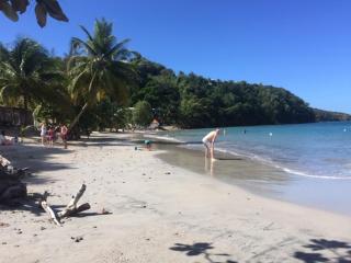 BAY VIEW MARTINIQUE - Les Anses-d'Arlets - 6