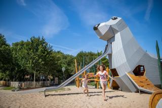 Center Parcs Park De Haan - De Haan - 8