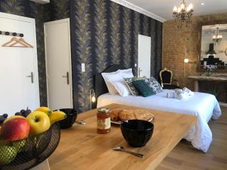 Appartement centre-ville CHIC - 5