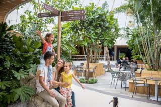 Center Parcs Zandvoort beach - Zandvoort - 5