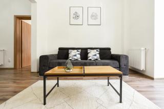 SIMPLE YET STYLISH. Piata Revolutiei Apartment - Bucarest - 1