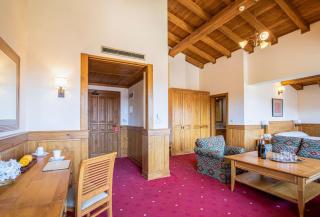Pirin Golf Hotel & Spa - Bansko - 9