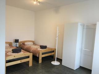 Monteurwohnung 2 - Ingelheim am Rhein - 5