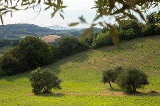 San Rocco Country House - Pesaro - 5