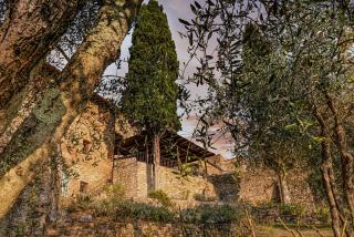 Villa Casavecchia - San Casciano in Val di Pesa - 3