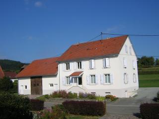 Gîte Léonline sur les hauteurs de Masevaux -au pied des Vosges - Masevaux - 9