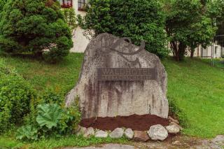Waldhotel Seebachschleife - Bayerisch Eisenstein - 9