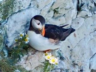 Happy Days Holidays - Flamborough - 8