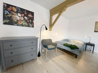 015 CHIC & COSY STUDIO 41m2 HYPERCENTRE WIFI SMART TV NETFLIX - Saint-Étienne - 4