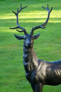 Loch Kinord Hotel - 7