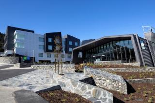 Holiday Inn Express & Suites Queenstown by IHG - Queenstown - 9