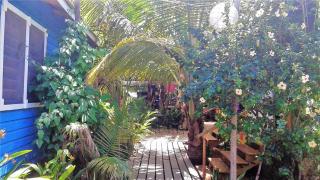 The Funky Dodo Backpackers Hostel - Hopkins - 6