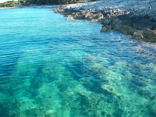 Apartments Ivica - 1