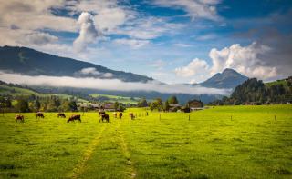 Chalet Matzhof - Leogang - 1