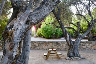 PYRGOS RALLI ESTATE Guesthouse - Égine - 7