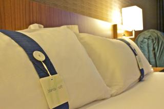 Holiday Inn Express Campo de Gibraltar-Barrios by IHG - Los Barrios - 6