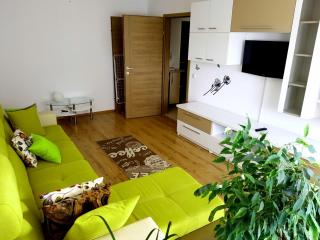 Urban Retreat Luxury HideAway - Oradea - 1
