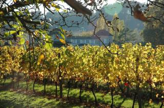 Domaine de la Queyssie - 1