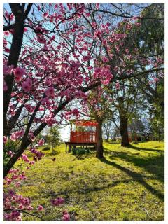 Poplars Inn Mittagong - Mittagong - 5