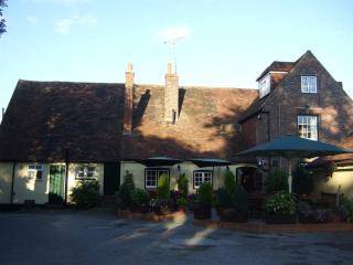 Ye Olde George Inn - Badger Pubs - Privett - 5