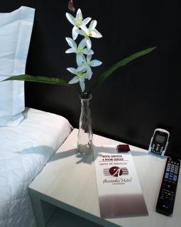 L´acordes Hotel - Porto Velho - 9