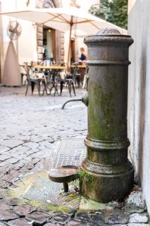 Guest House o Affittacamere Magenta Fico 2 - Roma - 7