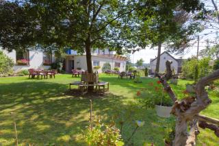 Hotel-Restaurant Birgeler Hof - Birgel - 5