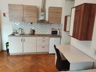 Apartments Fazarinc with parking, wellness and city store in the center of Celje - 6