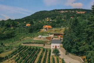 Villő Villa - Badacsonytomaj - 3
