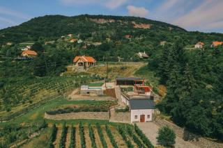 Villő Villa - Badacsonytomaj - 2