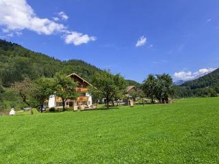 Gästehaus Anfanglehen - Ramsau - 8