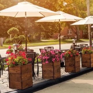 Centerstone Plaza Hotel Soldiers Field - Mayo Clinic Area - 8