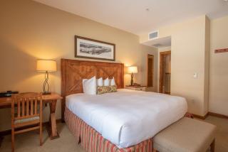 Wheelchair Accessible 2-Bedroom Condo - Slopeside condo - Crested Butte - 1